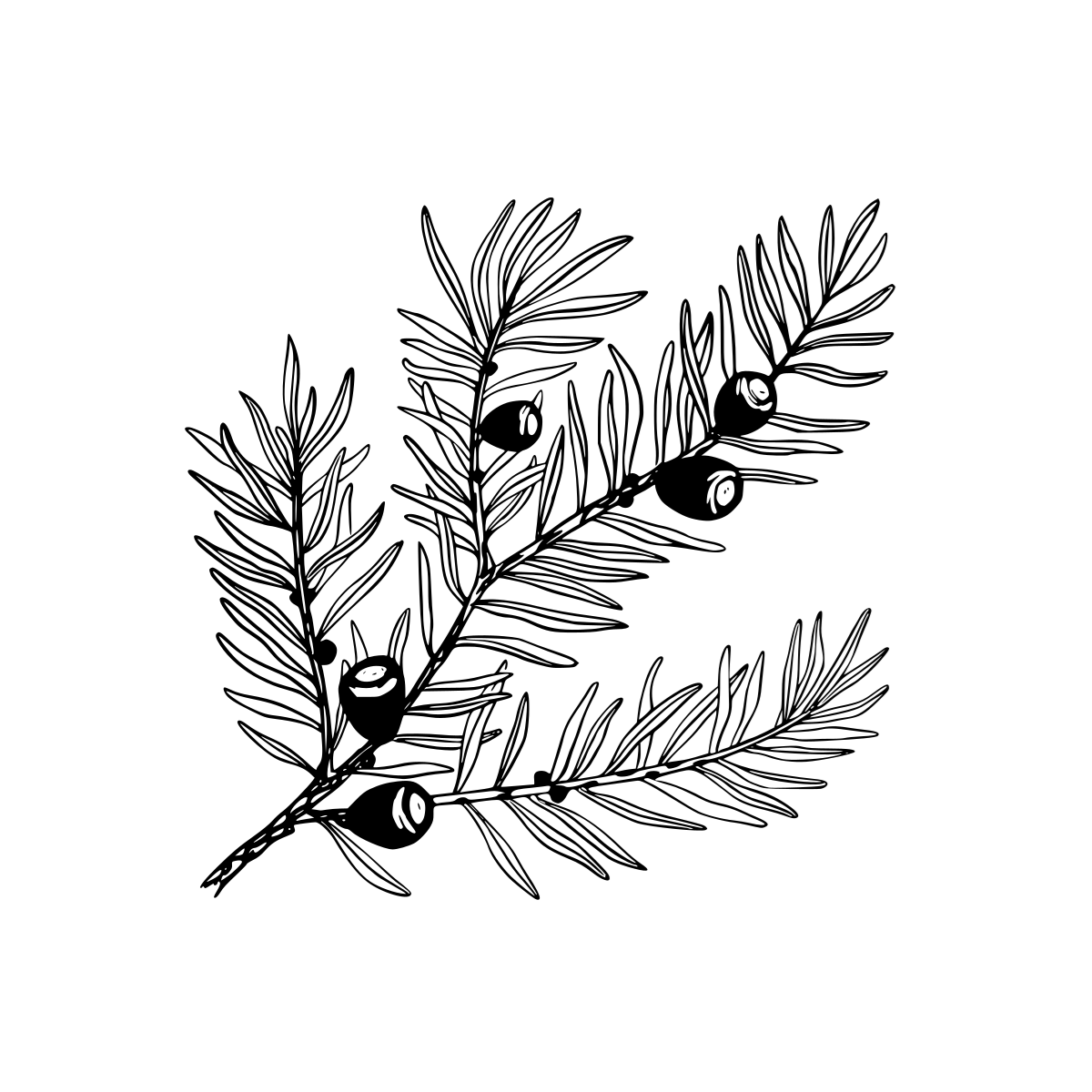 shop logo